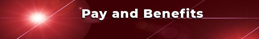 Pay and Benefits Banner Red