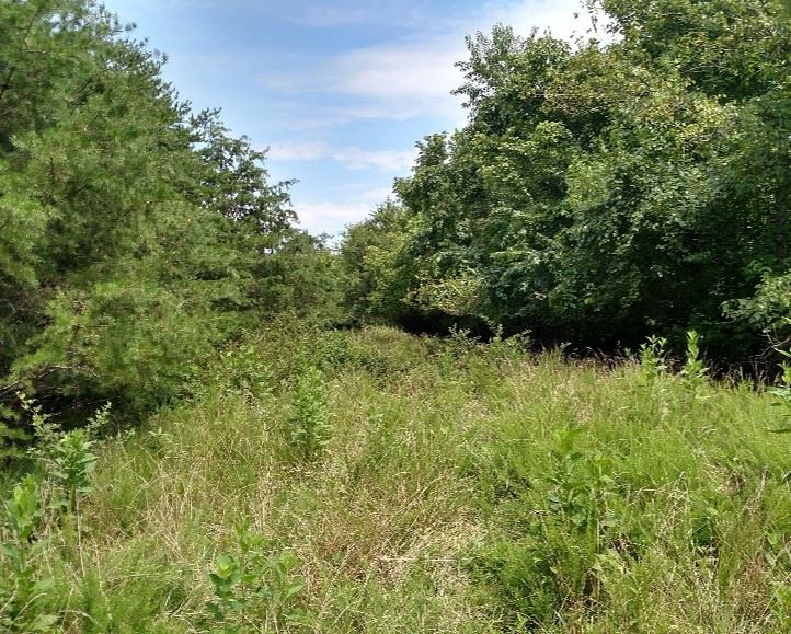 Photo of Former Landfill Access Road