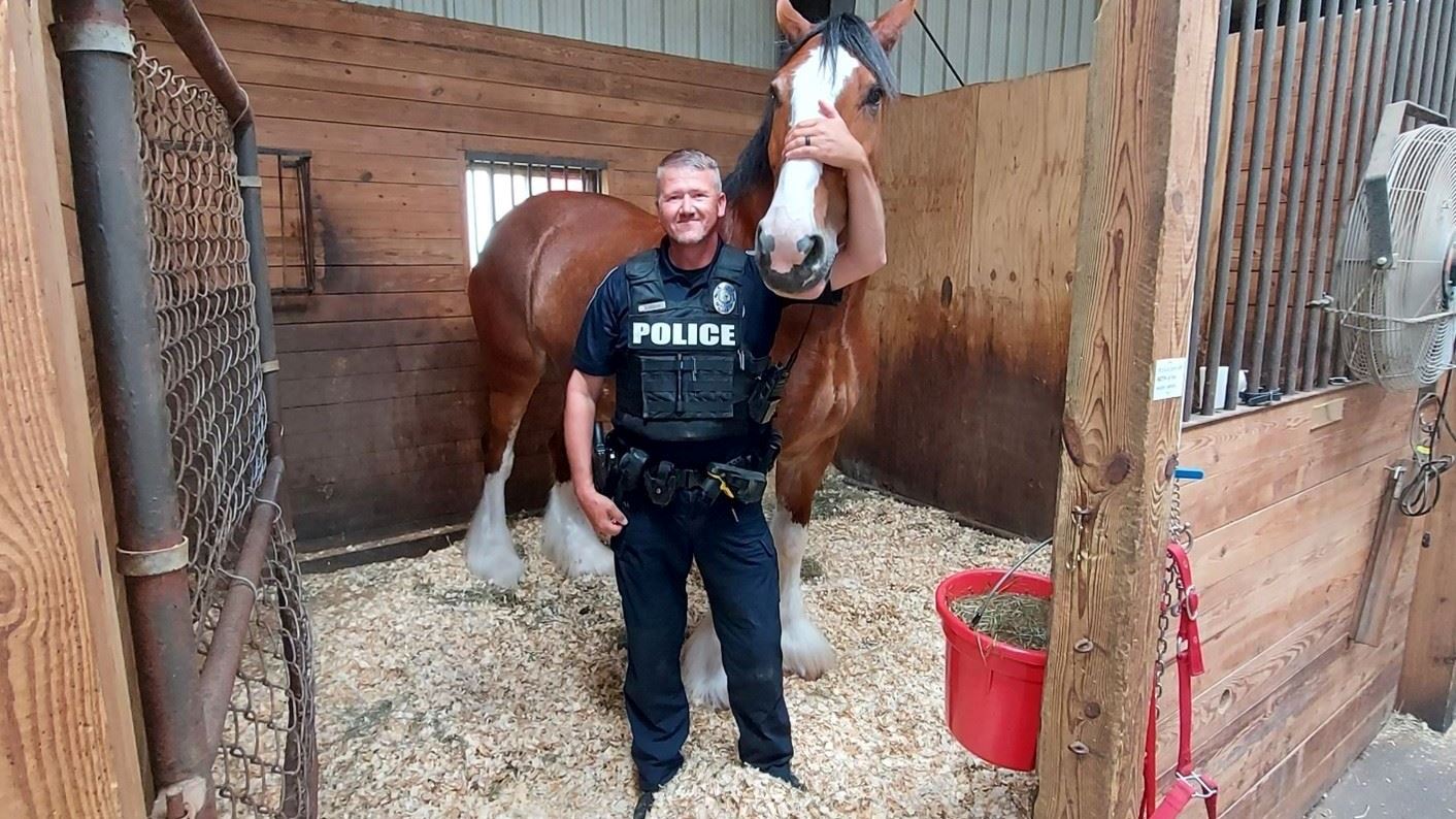 Special Ops Horse