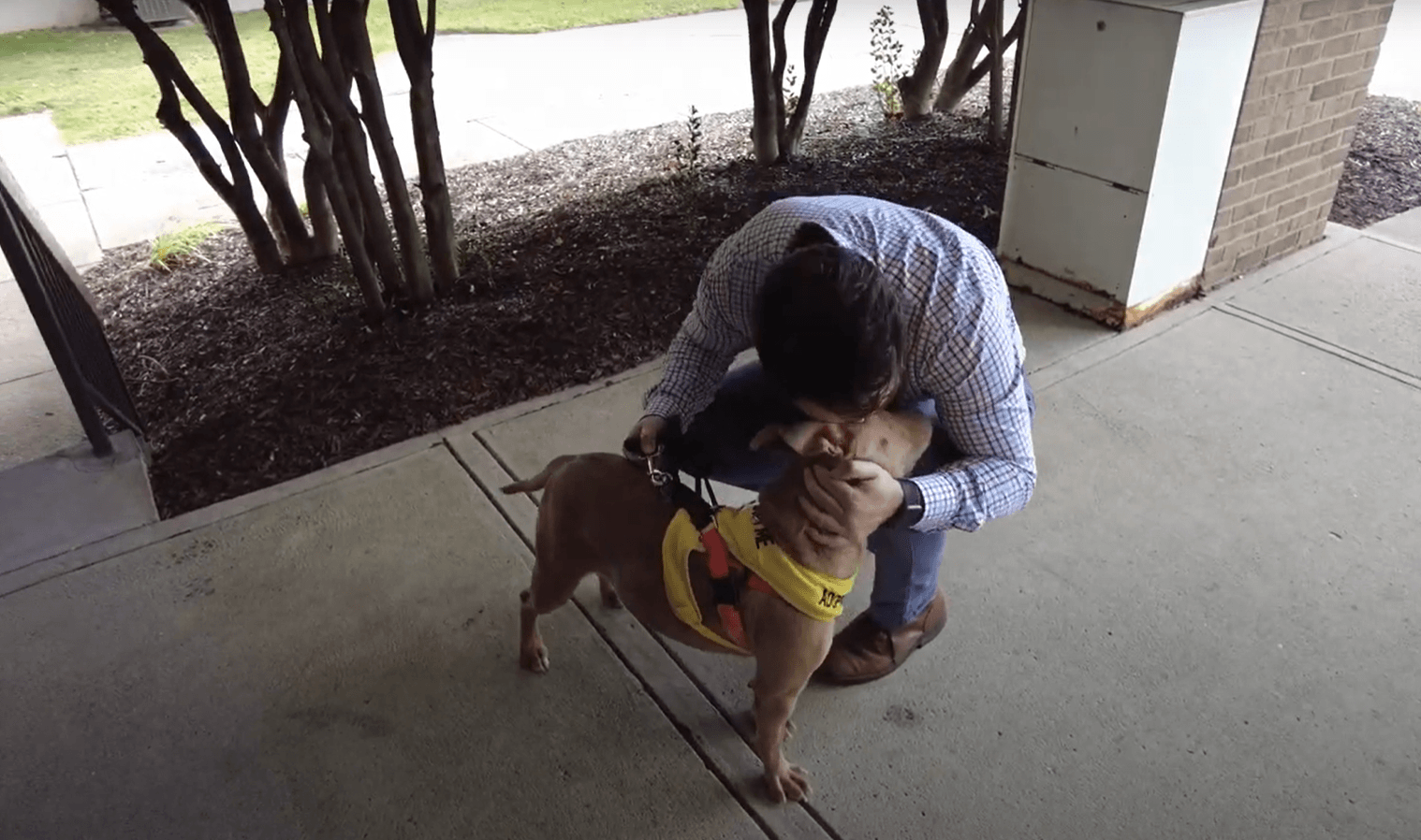 Adventure Dog Moki getting some love