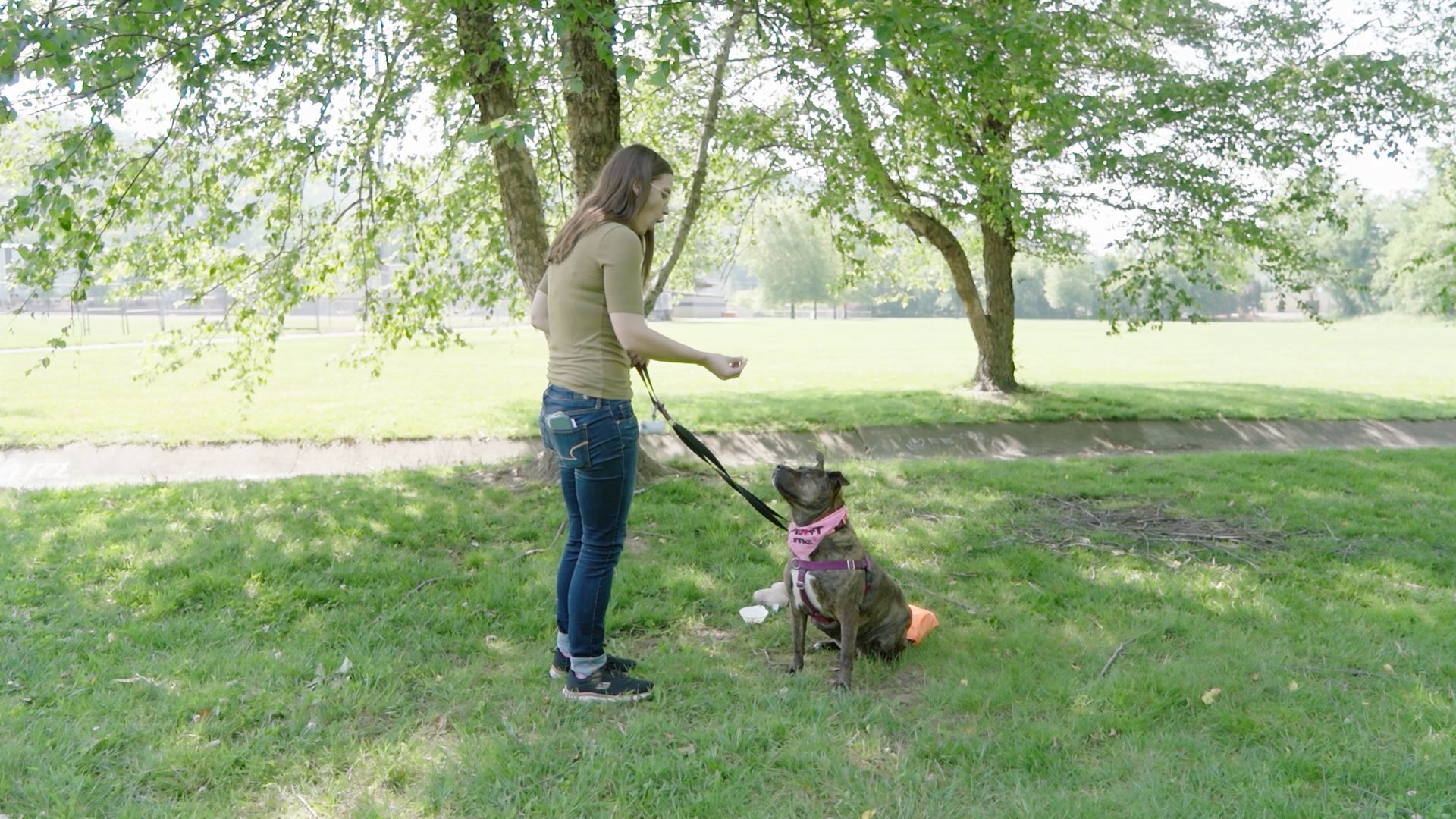 A woman and dog in a park
