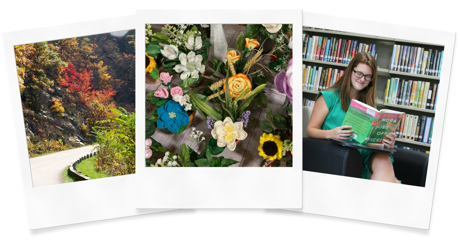 A collage of the Blue Ridge parkway, knit crafts, and a woman reading