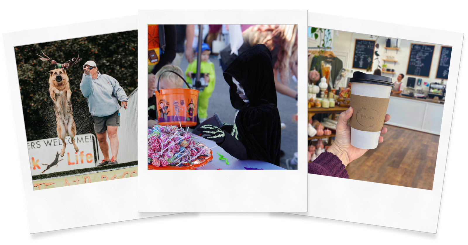 A collage of a dog jumping, a kid in a costume taking candy and a person holding a coffee